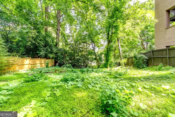 a backyard of a house with plants and large trees