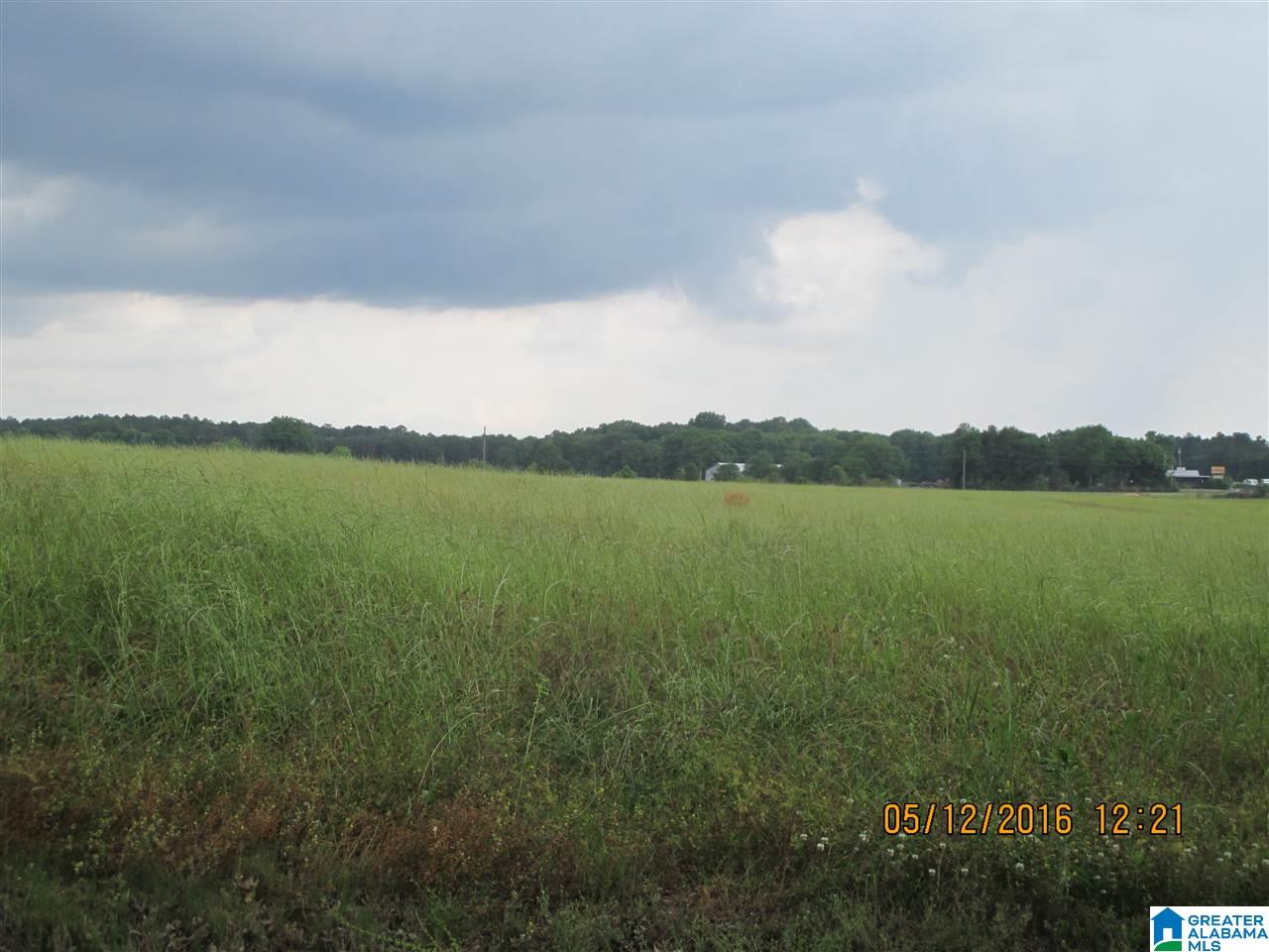 0 Watson Road Cropwell, AL 35054 - Photo 5 of 5