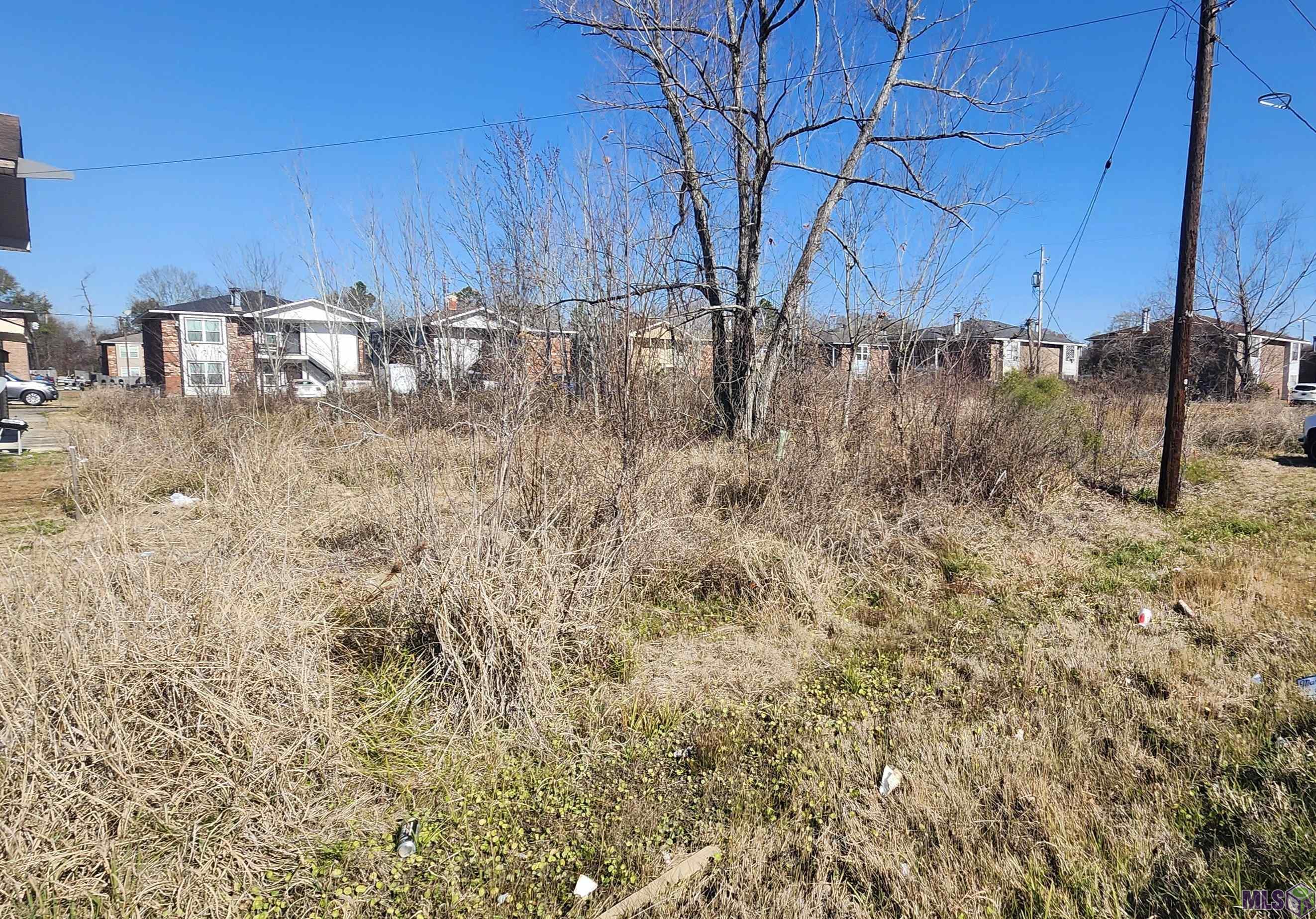 14139 Old Hammond Highway Baton Rouge, LA 70816 - Photo 2 of 3