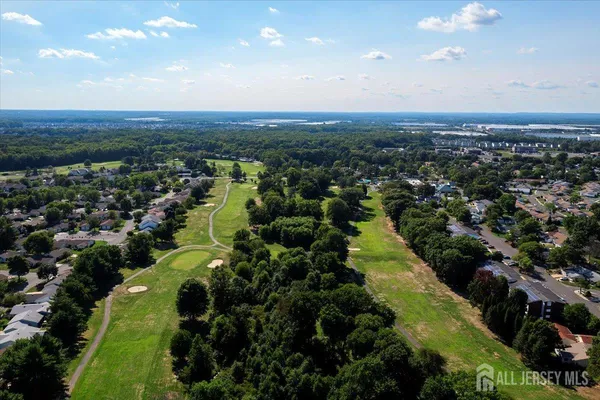 an aerial view of residential houses with outdoor space and trees