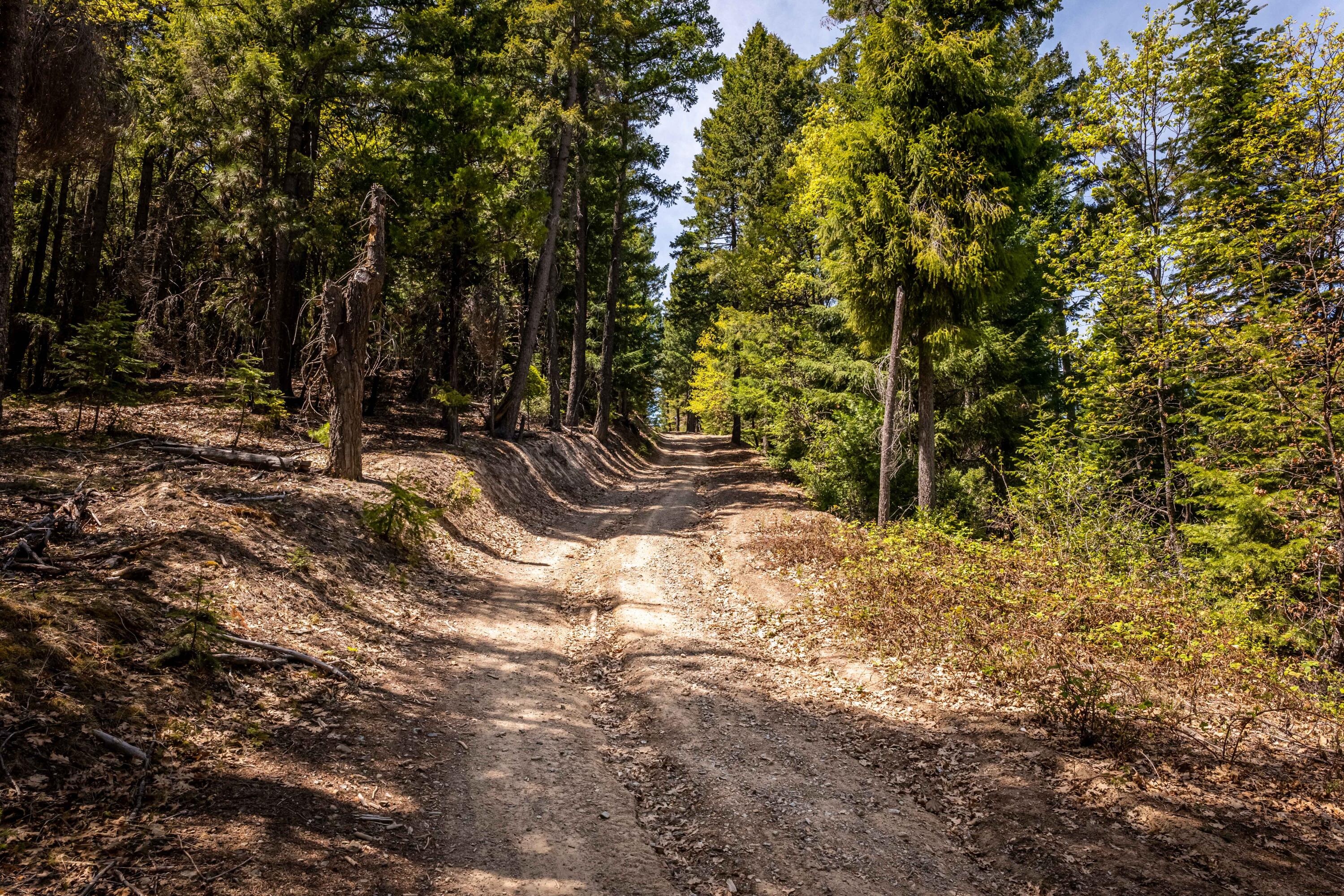 North Shore Road Mount Shasta, CA 96067 - Photo 10 of 21 228 Acres 15