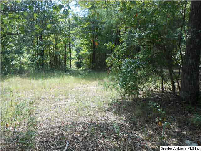 311 Sullivan Lane, Unit 4 5 Springville, AL 35146 - Photo 3 of 17 Gallery Image 3