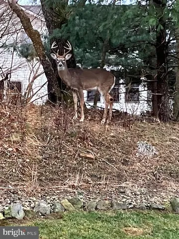 a view of building with trees