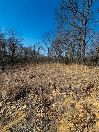 a view of empty yard