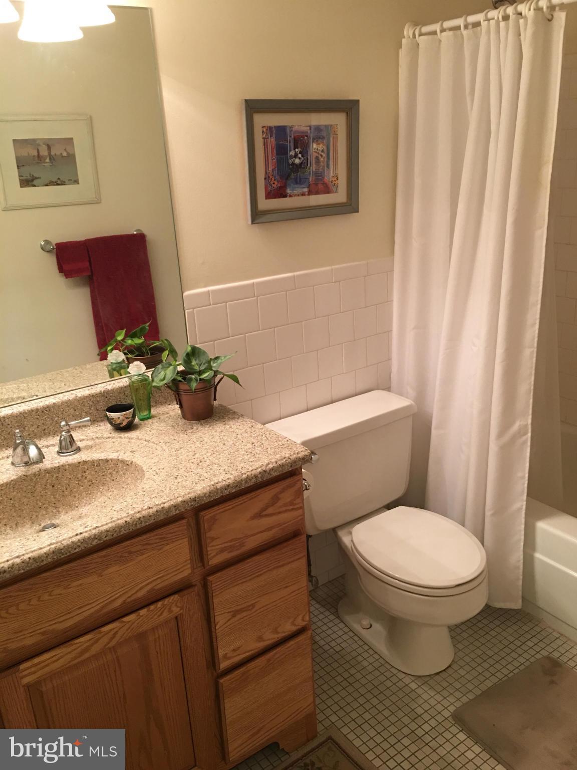 113 Cross Keys Road, Unit R113C Baltimore, MD 21210 - Photo 9 of 19 Bath