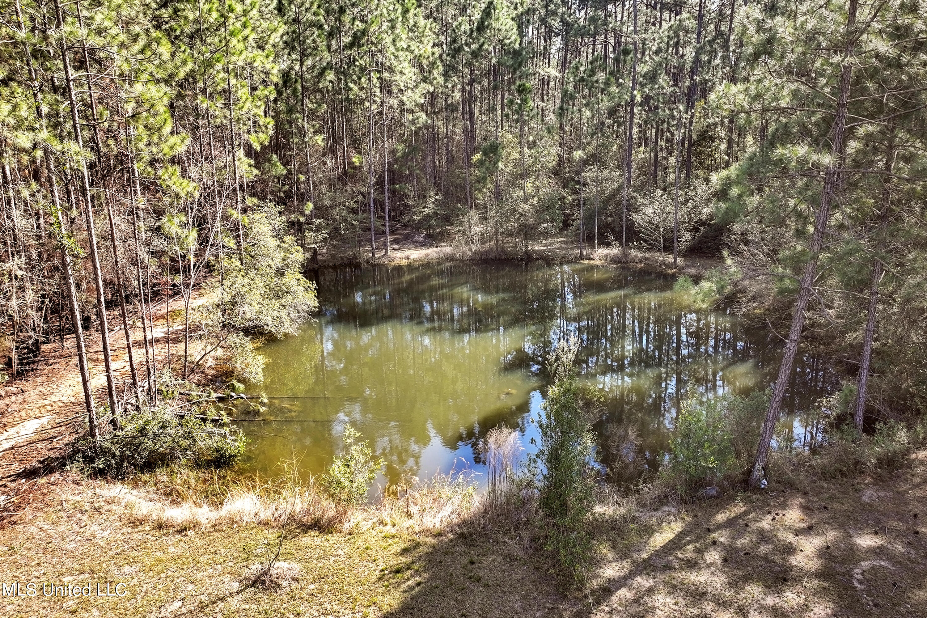 11413 Jim Ramsay Road Vancleave, MS 39565 - Photo 31 of 35 031