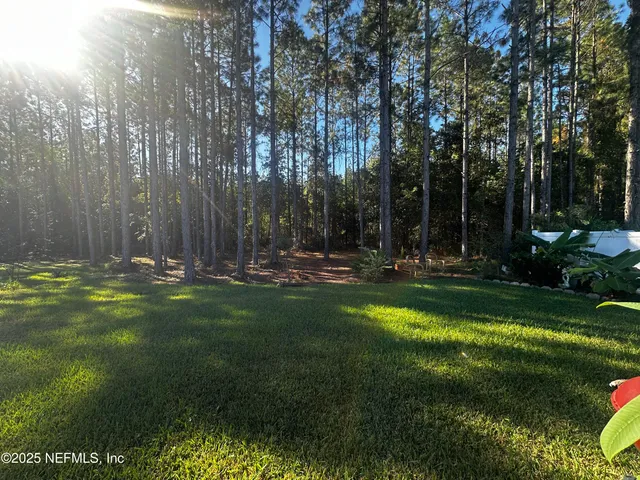 a view of swimming pool and garden