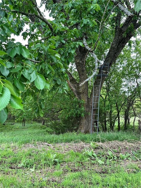 Crescent Hill Road Paola, KS 66071 - Photo 20 of 40