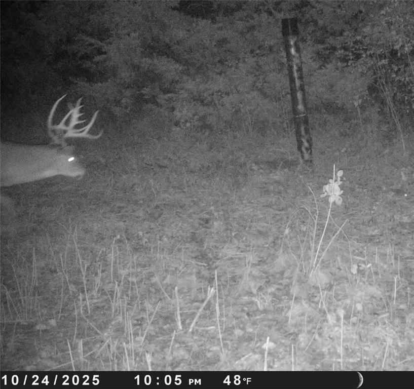 Crescent Hill Road Paola, KS 66071 - Photo 29 of 40