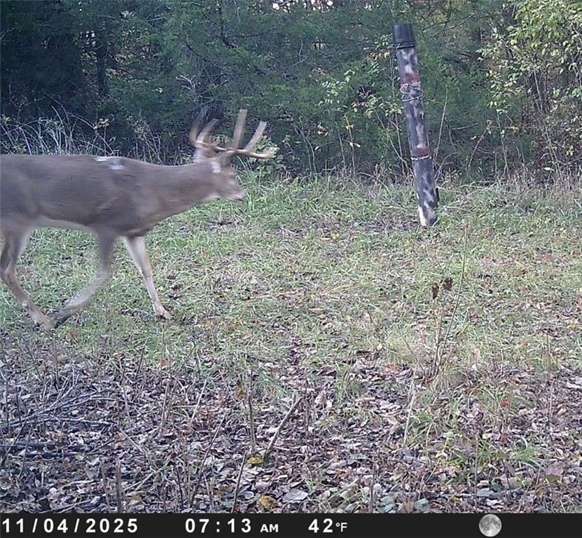 Crescent Hill Road Paola, KS 66071 - Photo 30 of 40