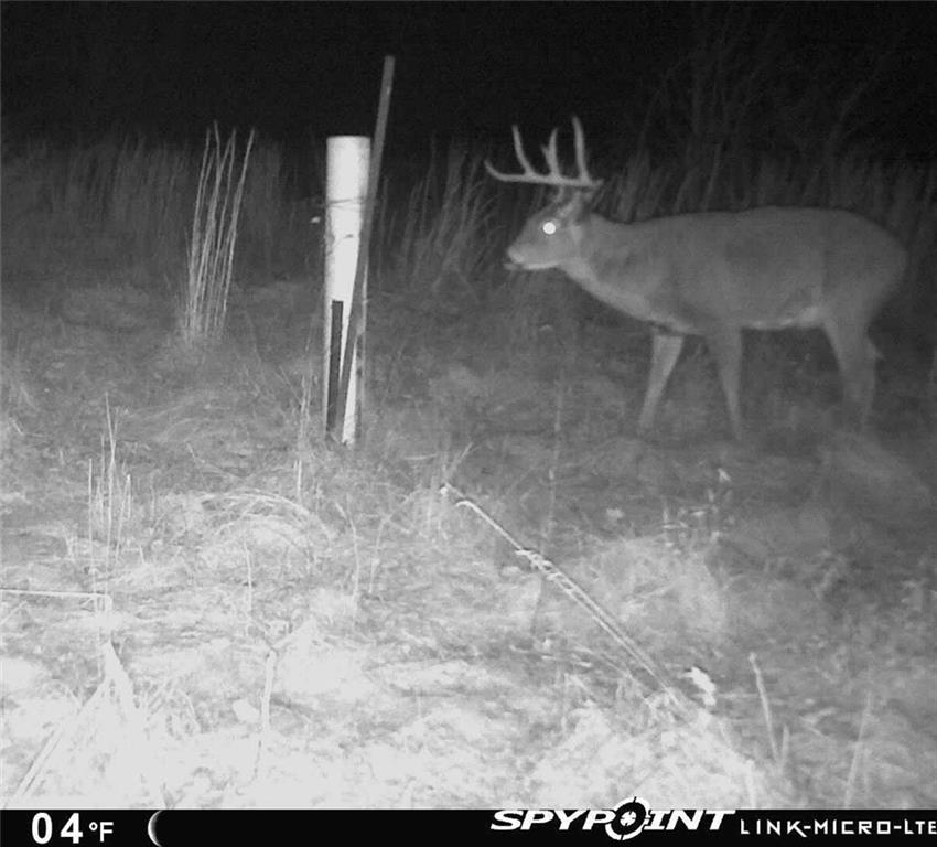 Crescent Hill Road Paola, KS 66071 - Photo 31 of 40