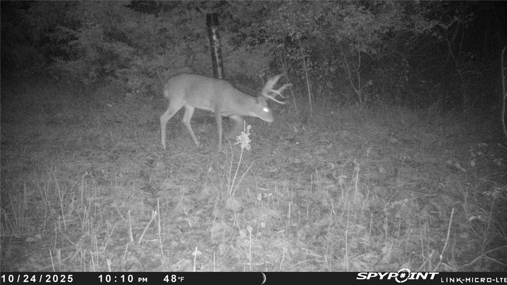 Crescent Hill Road Paola, KS 66071 - Photo 32 of 40