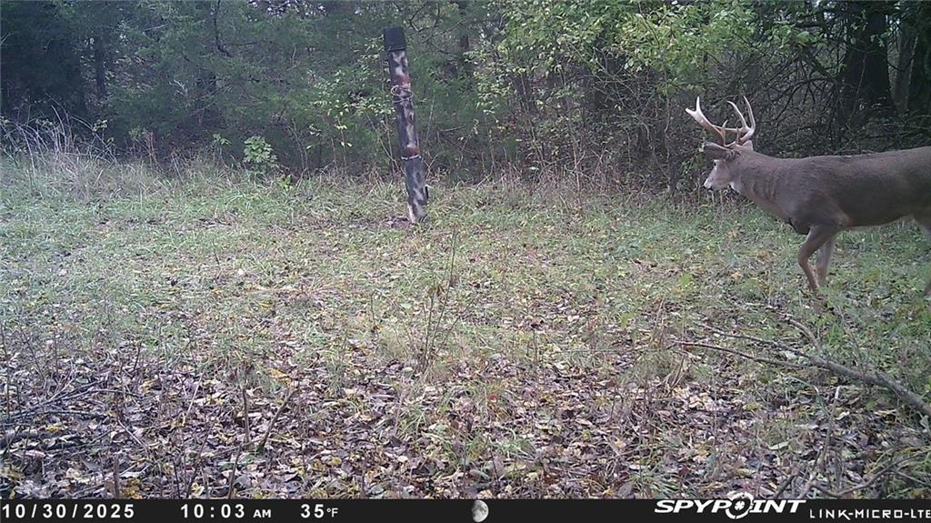 Crescent Hill Road Paola, KS 66071 - Photo 33 of 40