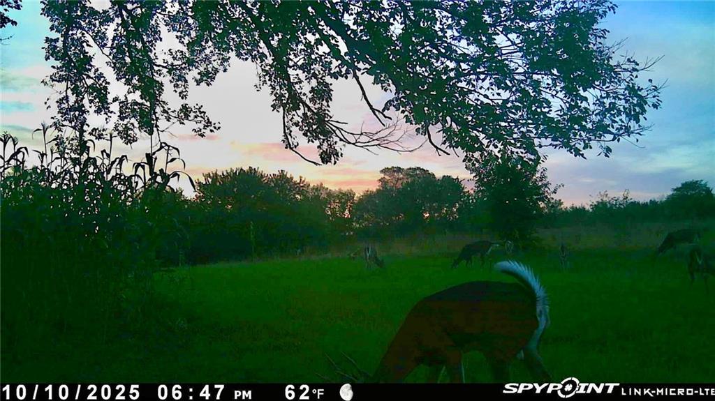 Crescent Hill Road Paola, KS 66071 - Photo 34 of 40