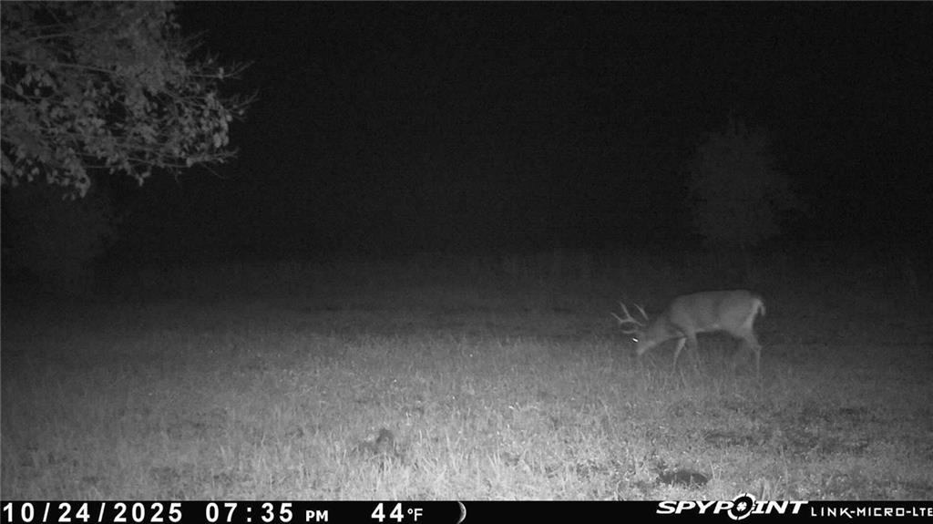 Crescent Hill Road Paola, KS 66071 - Photo 35 of 40