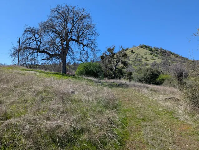 a view of a dry field with trees in the background