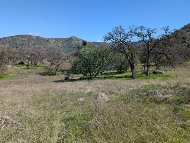 a view of a dry yard with mountains in the background