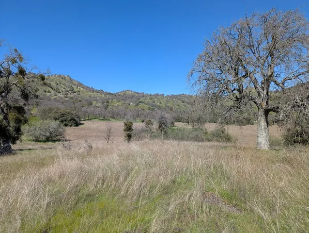a view of a dry field with trees in background
