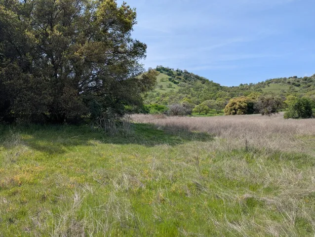 a view of a field with an trees in the background