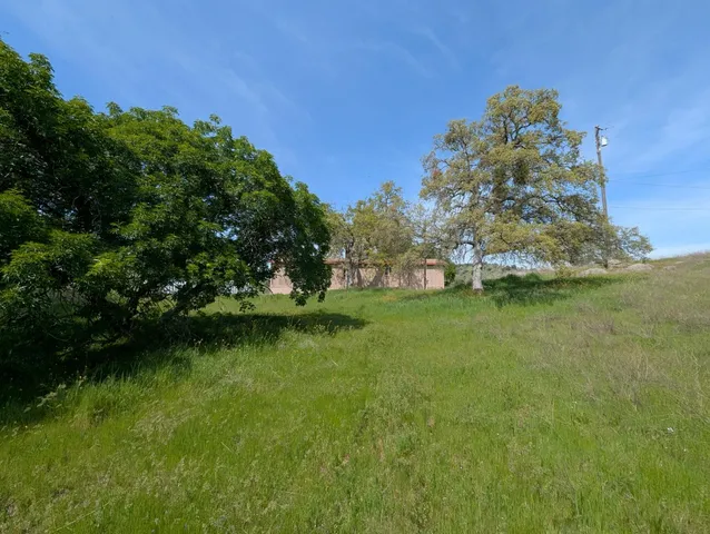 a view of a field with an trees