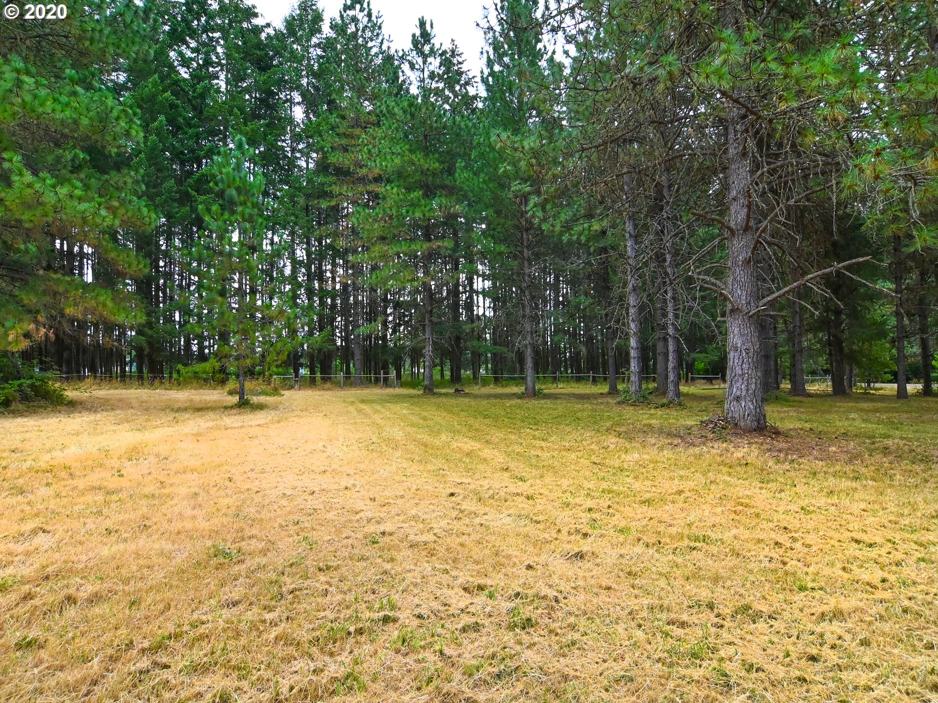 88555 Evers Road Elmira, OR 97437 - Photo 26 of 29 Gallery Image 26