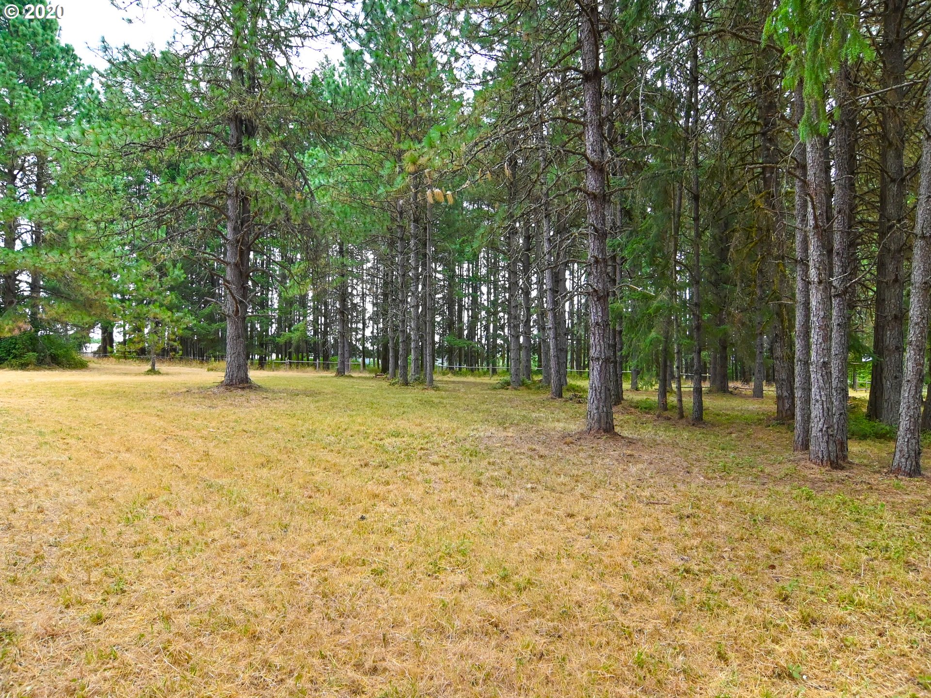 88555 Evers Road Elmira, OR 97437 - Photo 28 of 29 Gallery Image 28