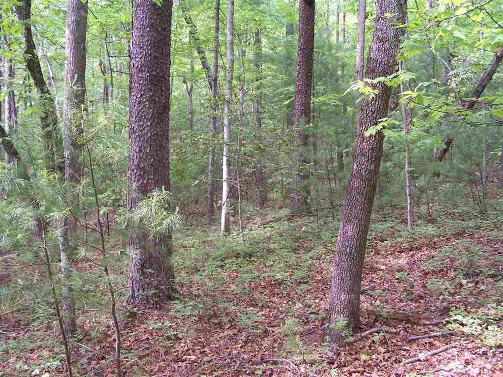 Lot 82 Wren Rd Mountain Rest Mountain Rest, SC 29664 - Photo 8 of 16 Gallery Image 8