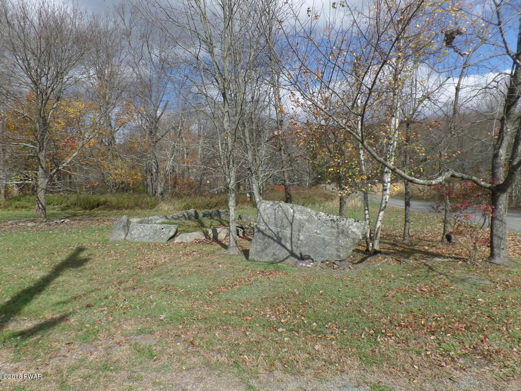 136 Sawmill Road Greentown, PA 18426 - Photo 30 of 40 Front Yard (2)