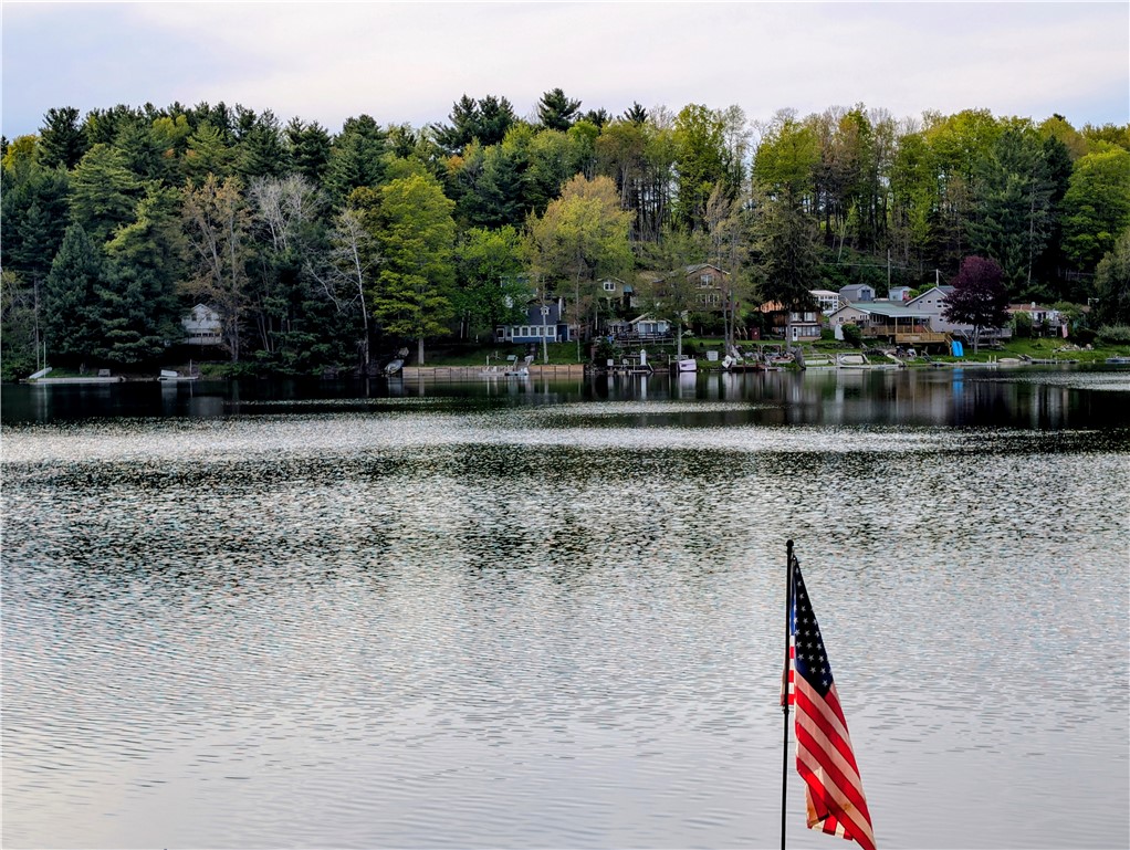 5073 Camp Rathbun Road Avoca, NY 14809 - Photo 33 of 42 Beautiful views of the lake