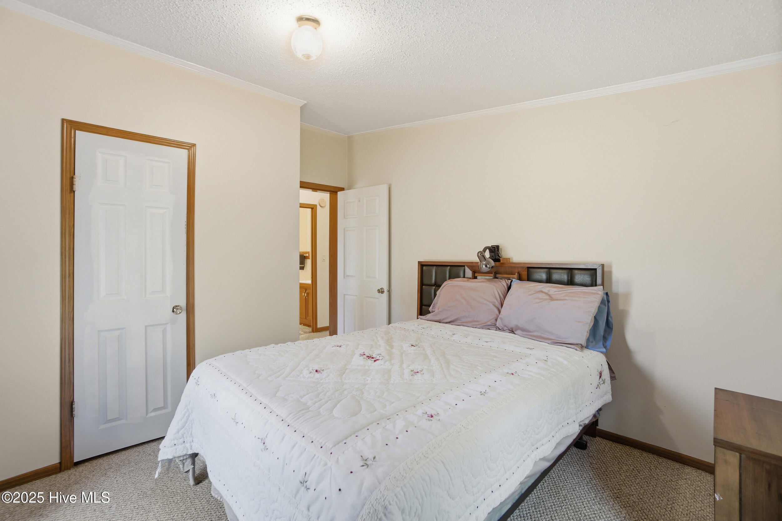 172 Brumley Road Knotts Island, NC 27950 - Photo 19 of 47 17_dsc00259