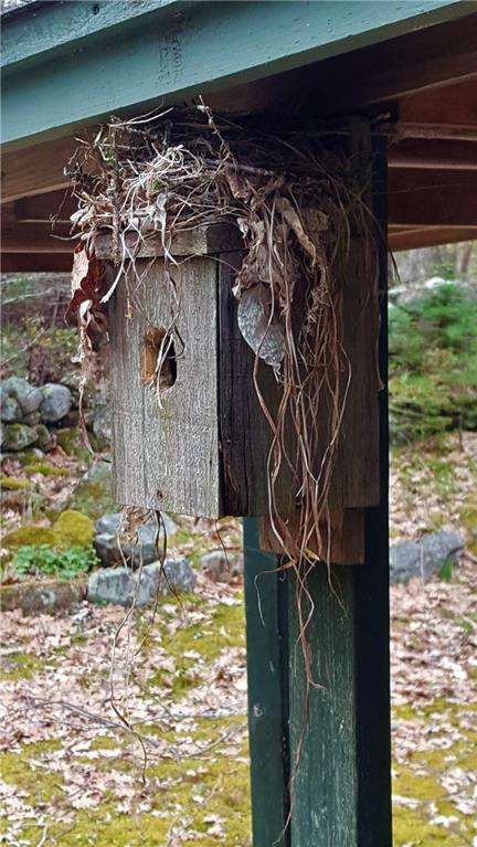 14 Boot Road Round Pond, ME 04564 - Photo 20 of 24 Wildlife abounds in this peaceful...