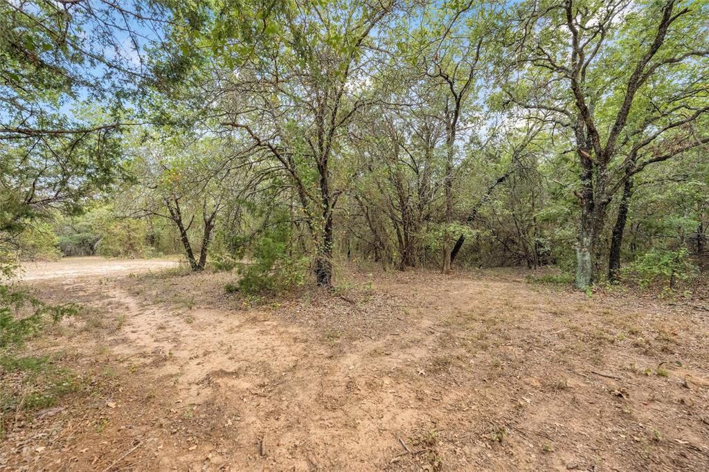 10537 East Lone Star Road Weatherford, TX 76088 - Photo 13 of 40 Walking Trails