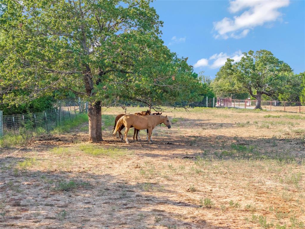 10537 East Lone Star Road Weatherford, TX 76088 - Photo 14 of 40