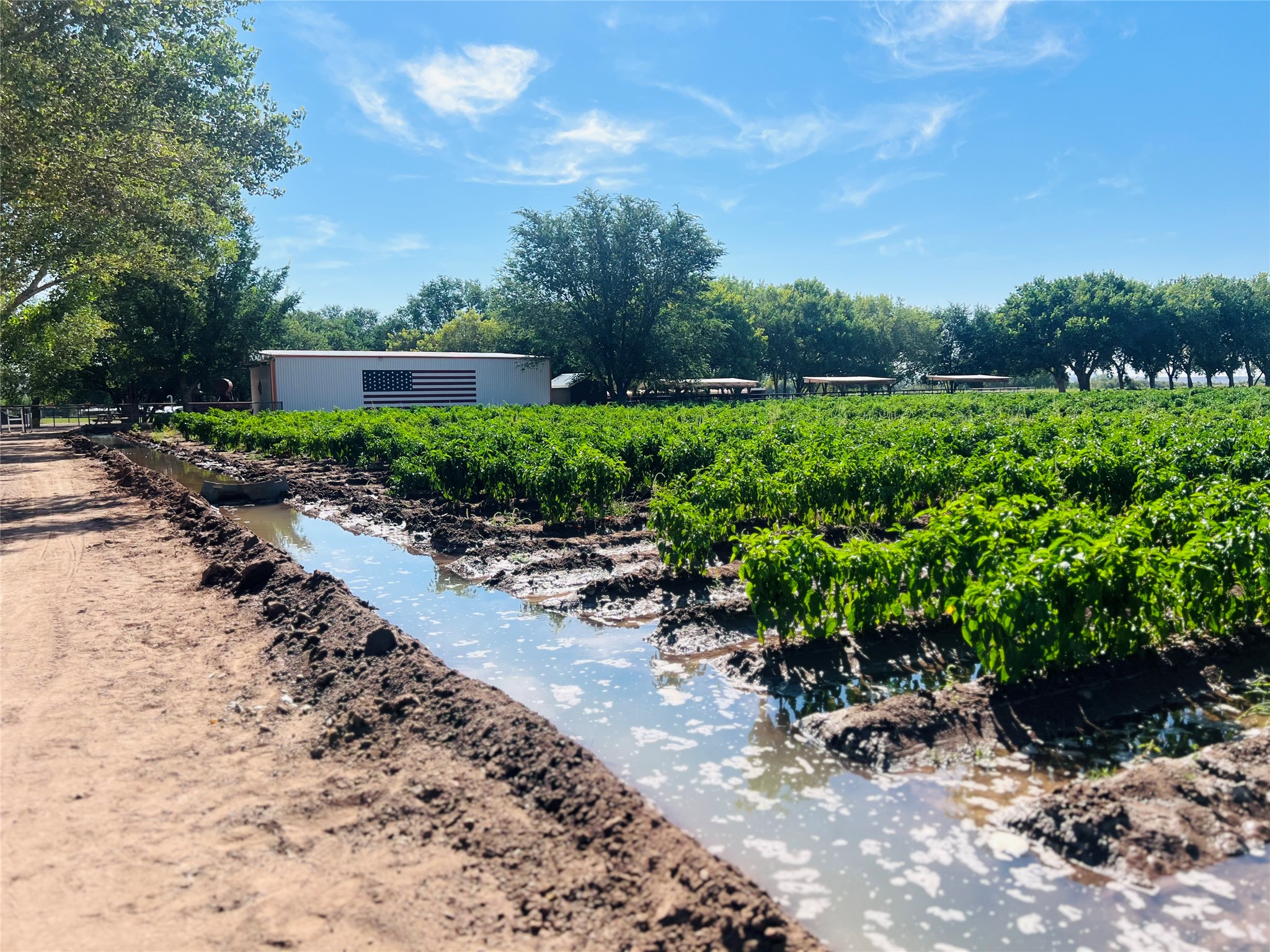 26 Schmittle Road Socorro, NM 87801 - Photo 78 of 80 Water comes out of irrigation well to flood fields for watering