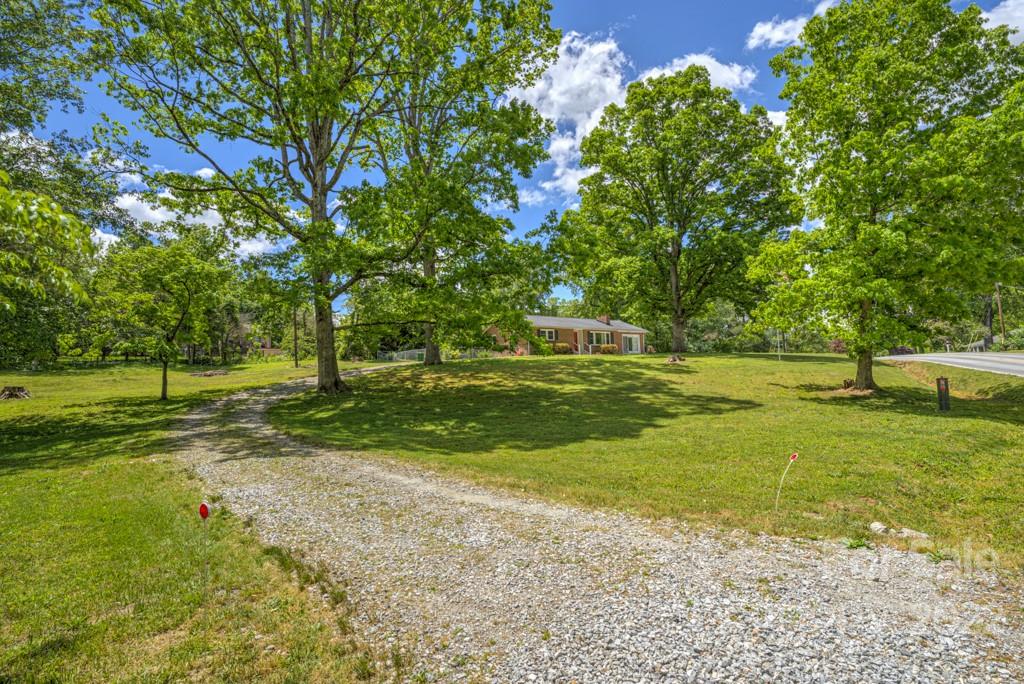 292 Brookside Camp Road Hendersonville, NC 28792 - Photo 34 of 41 a view of a tree in a yard