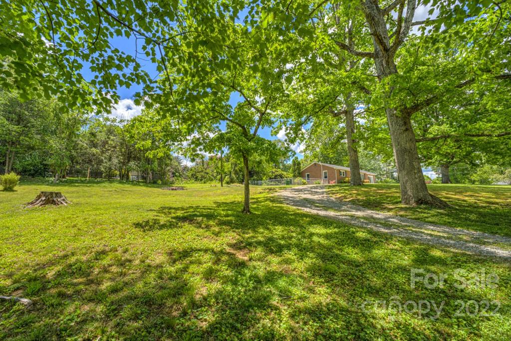 292 Brookside Camp Road Hendersonville, NC 28792 - Photo 36 of 41 a view of a trees with a yard