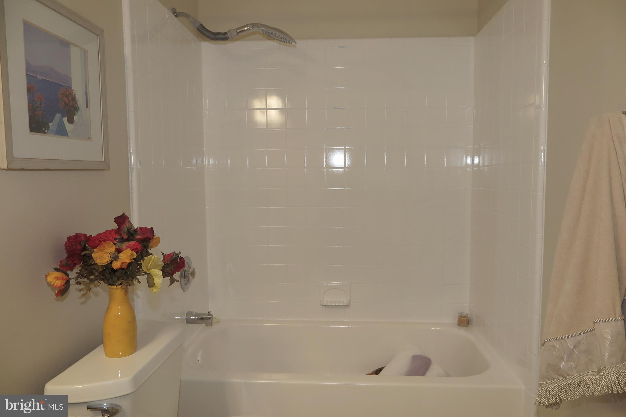 2211 Hunter's Run Drive, Unit 2211 Reston, VA 20191 - Photo 17 of 28 Tub Bath
