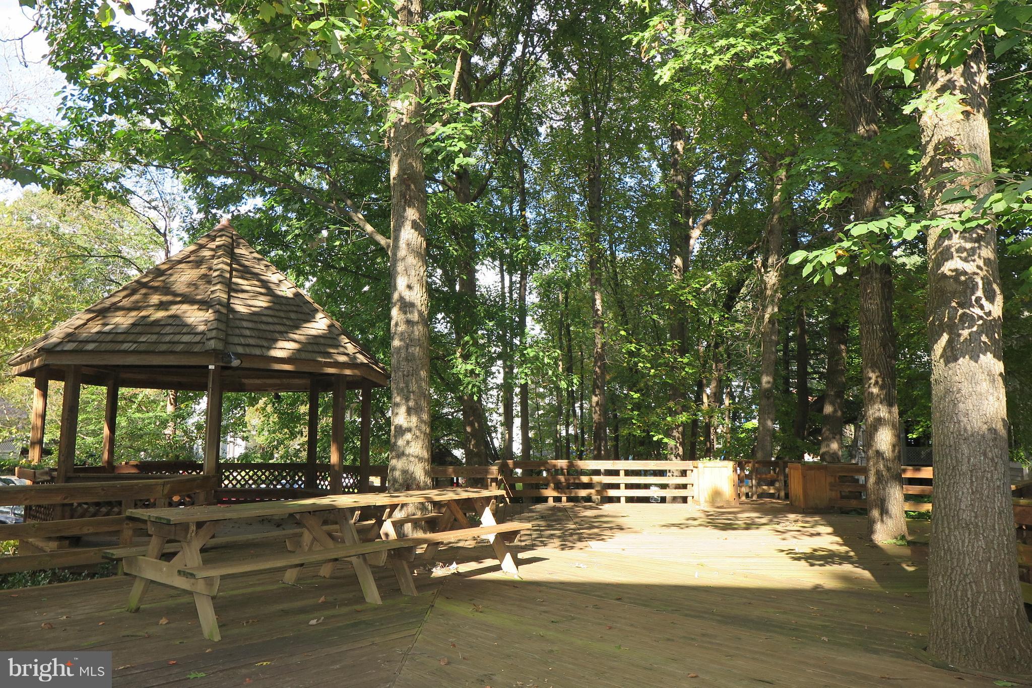 2211 Hunter's Run Drive, Unit 2211 Reston, VA 20191 - Photo 23 of 28 Walk out your door to grill & have a picnic