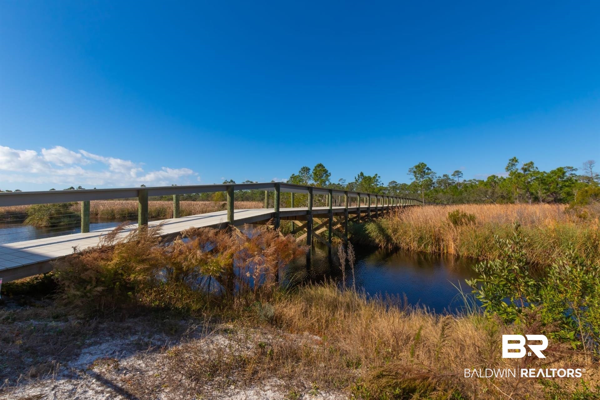 2494 Saltgrass Way Orange Beach, AL 36561 - Photo 23 of 37 Property view of water
