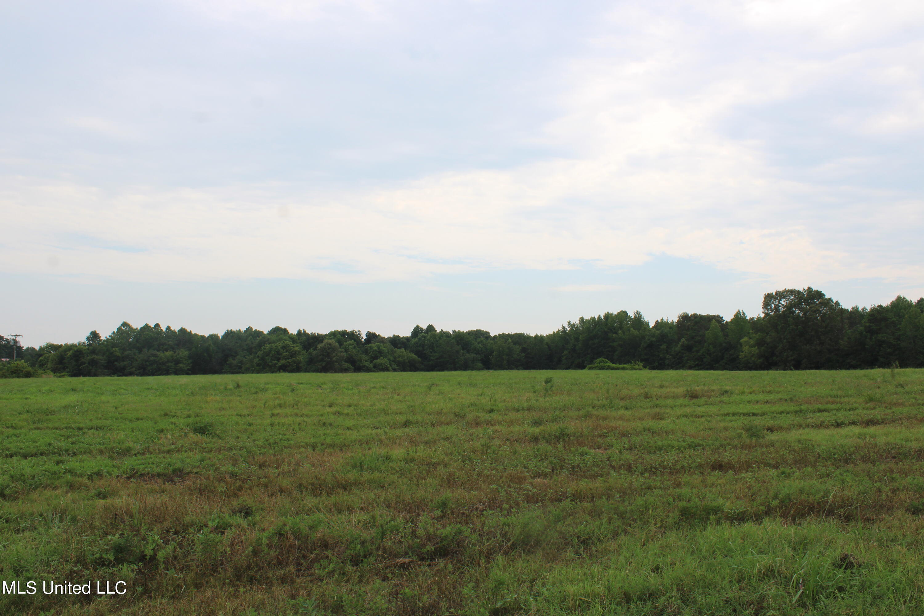 1700 Thomas Road Holly Springs, MS 38635 - Photo 12 of 23 IMG_1948