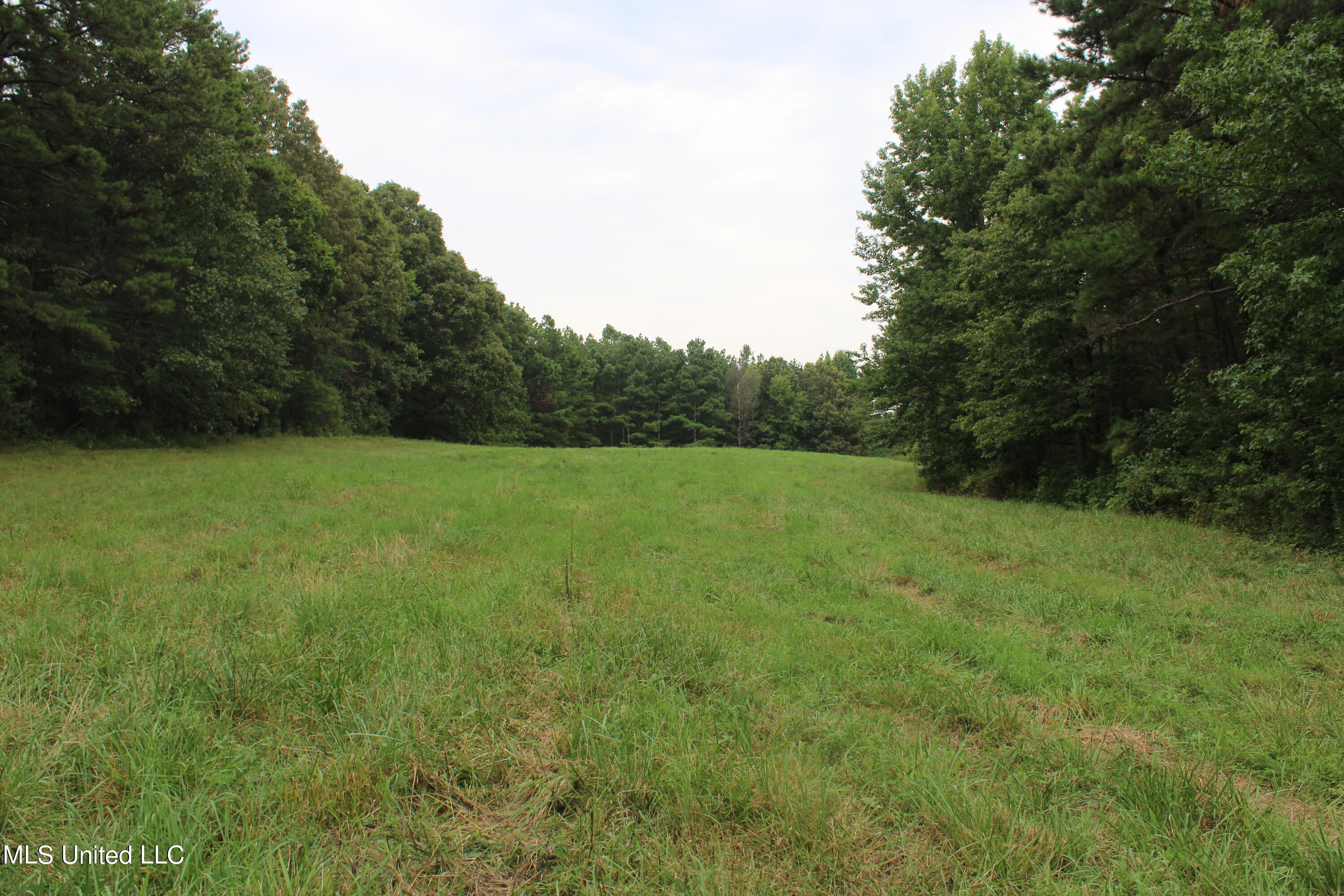 1700 Thomas Road Holly Springs, MS 38635 - Photo 14 of 23 IMG_1950