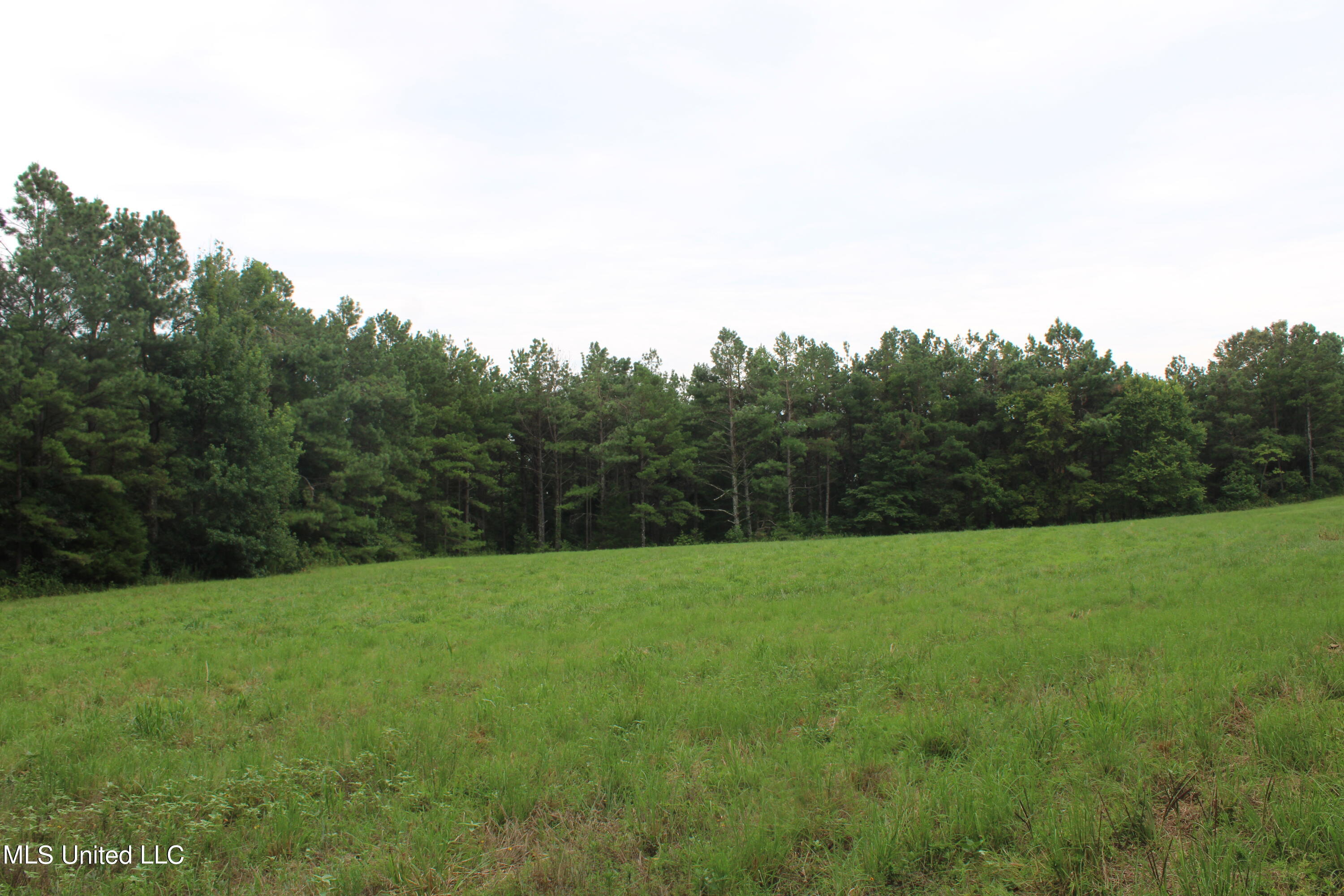 1700 Thomas Road Holly Springs, MS 38635 - Photo 17 of 23 IMG_1953
