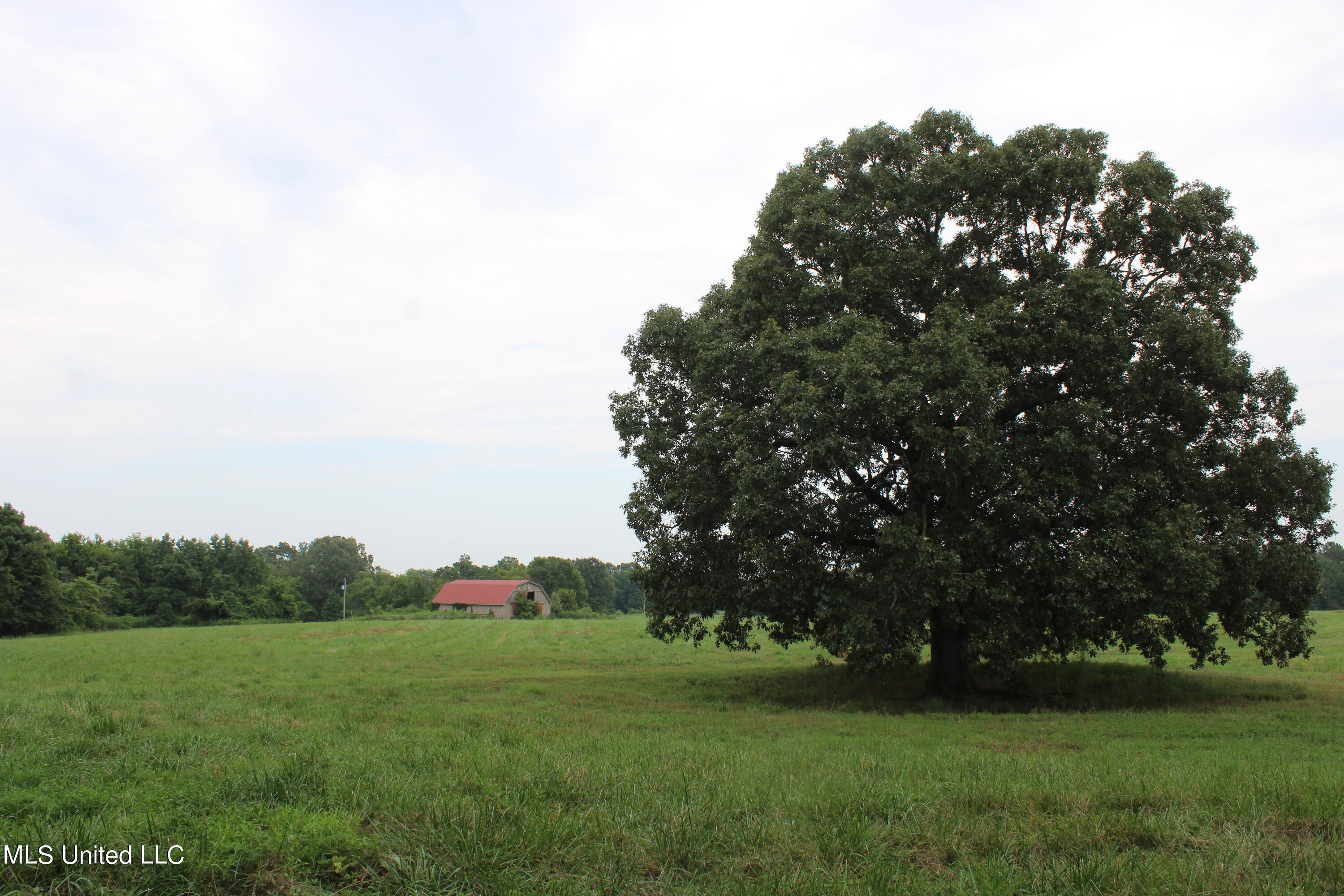 1700 Thomas Road Holly Springs, MS 38635 - Photo 19 of 23 IMG_1955