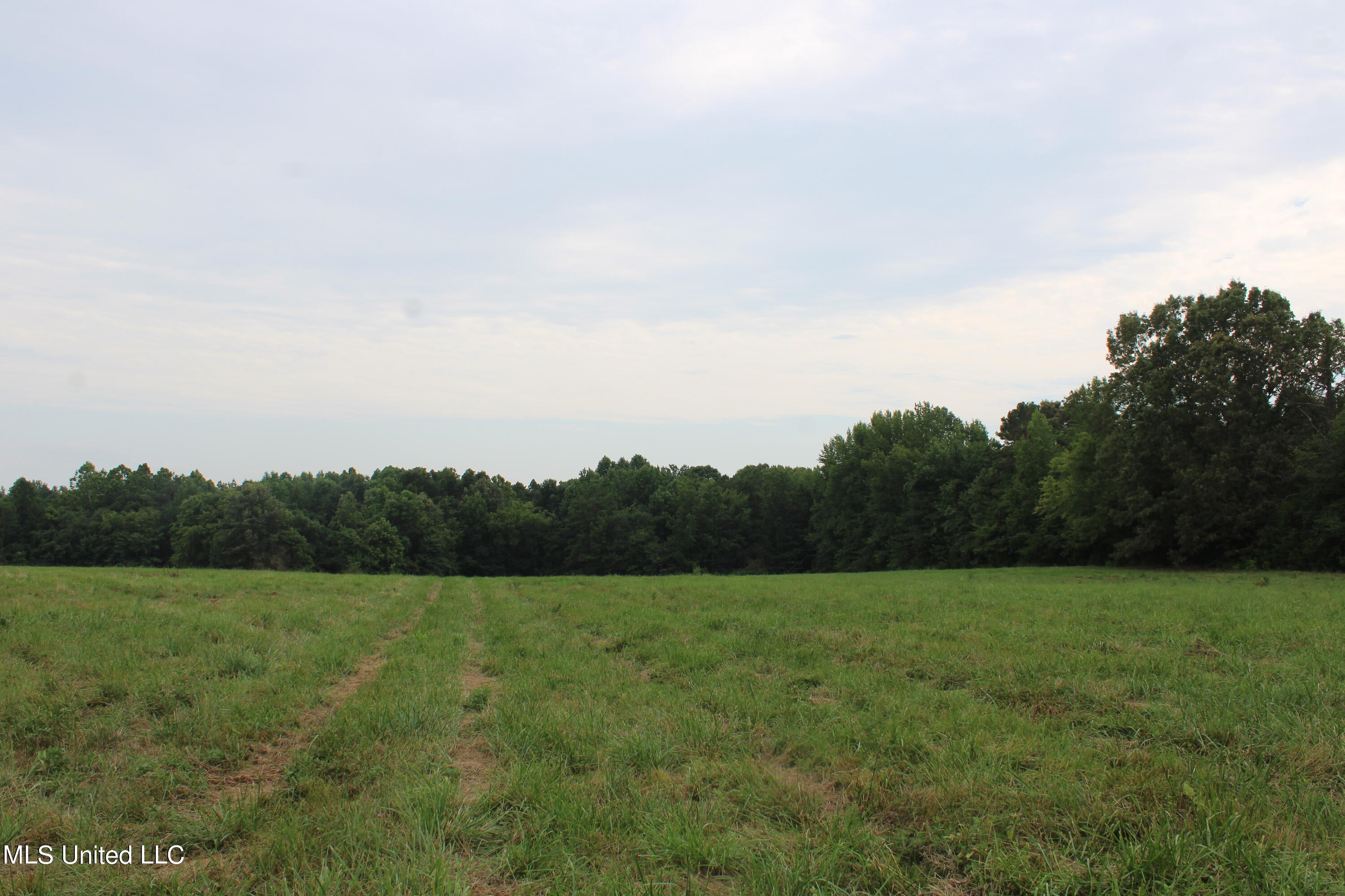 1700 Thomas Road Holly Springs, MS 38635 - Photo 20 of 23 IMG_1956