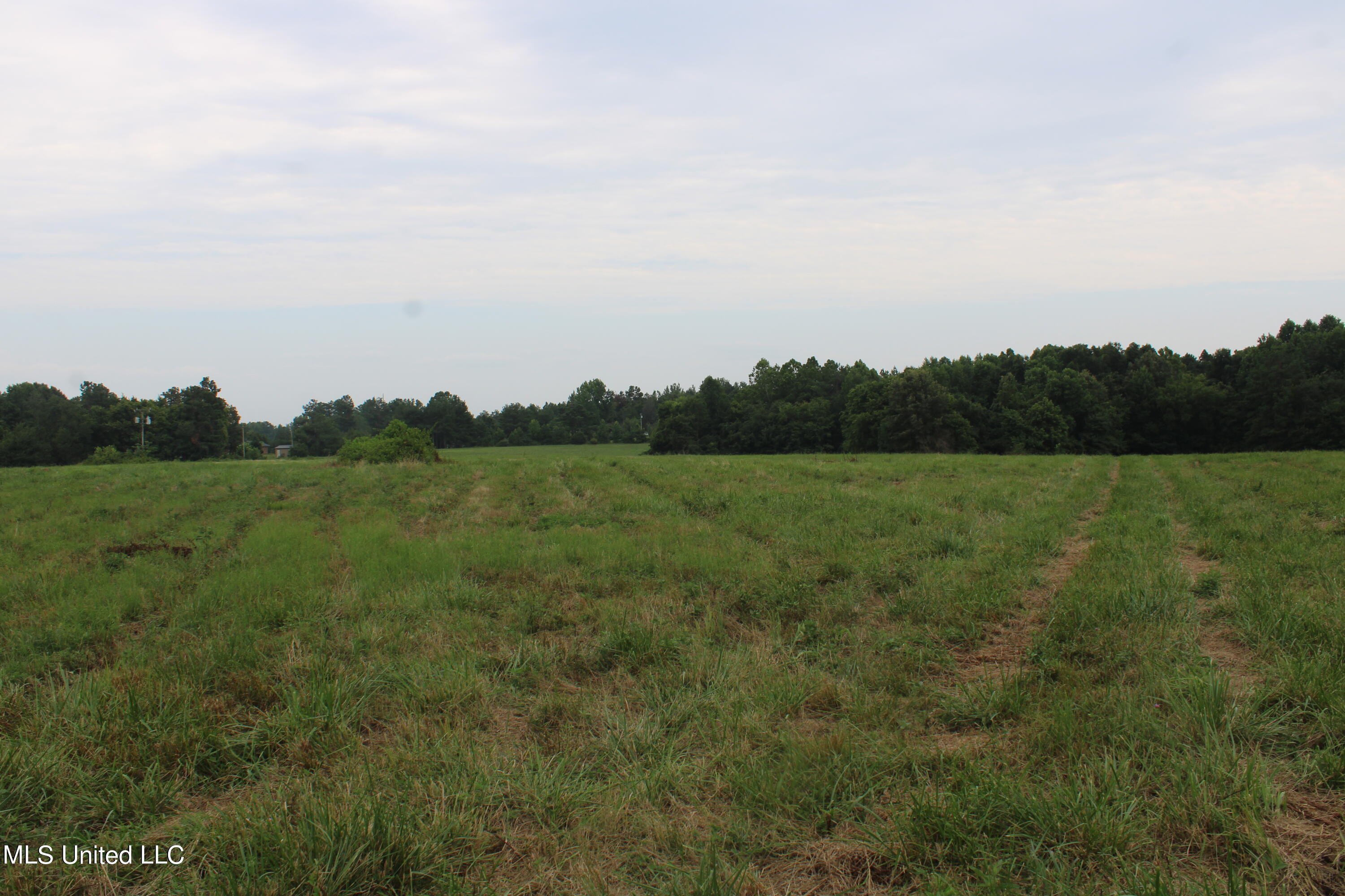 1700 Thomas Road Holly Springs, MS 38635 - Photo 21 of 23 IMG_1957