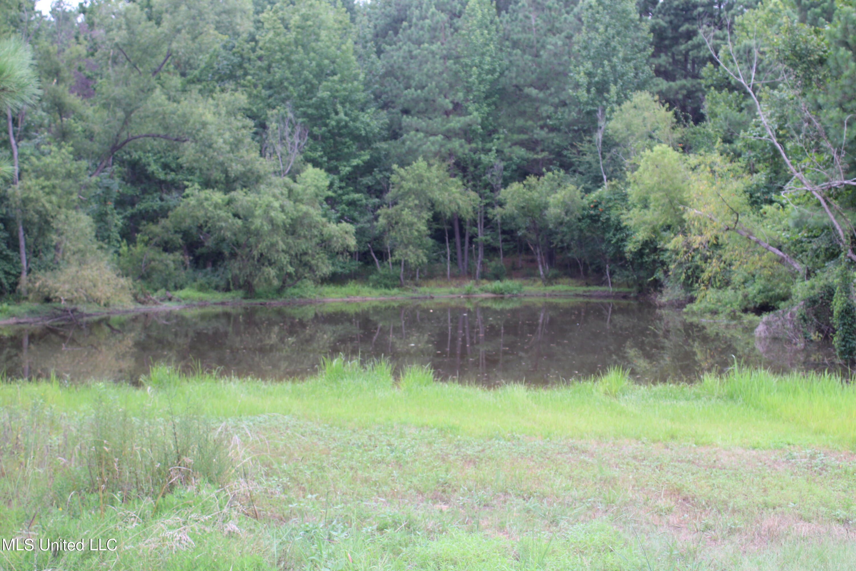 1700 Thomas Road Holly Springs, MS 38635 - Photo 22 of 23 IMG_1958