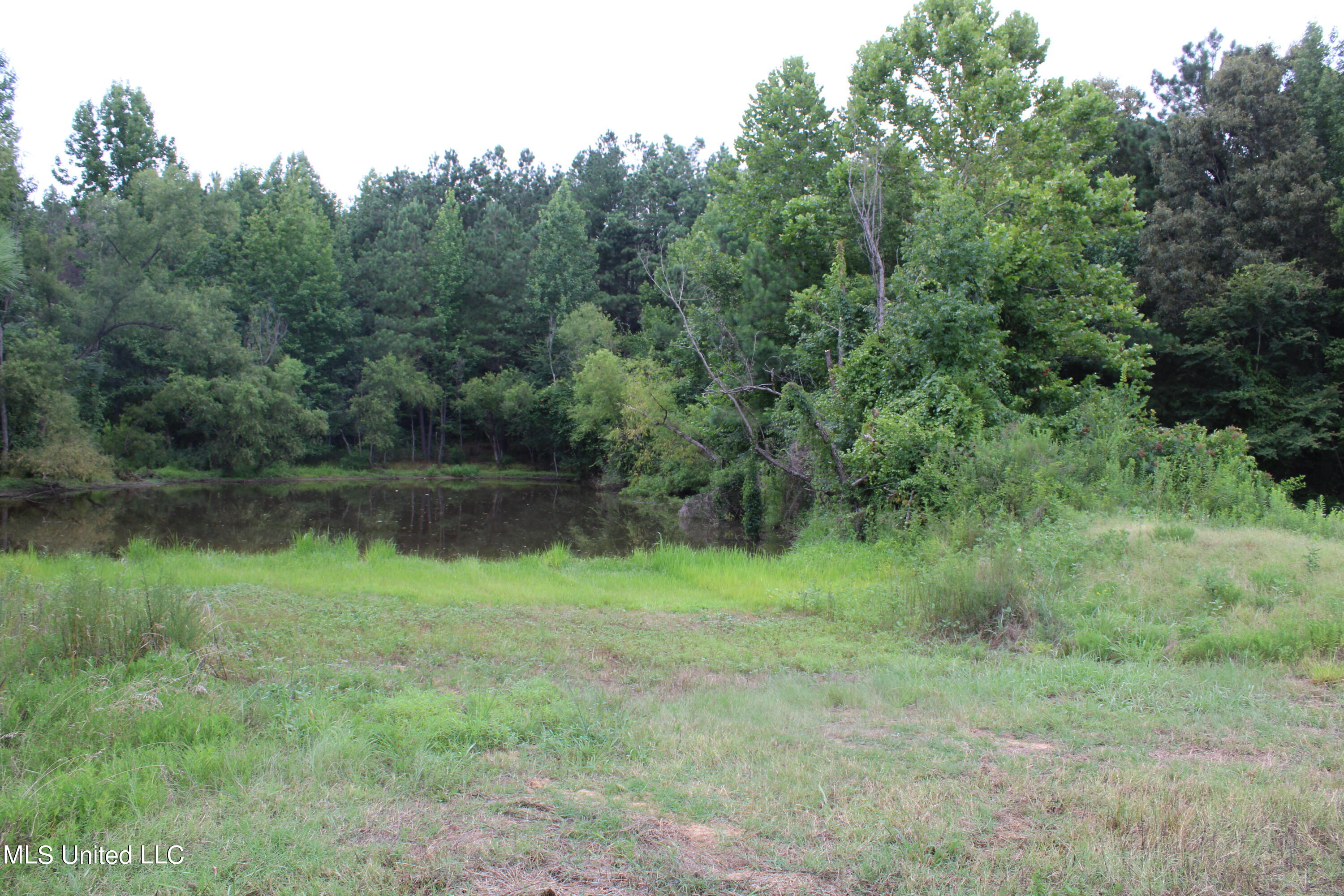 1700 Thomas Road Holly Springs, MS 38635 - Photo 23 of 23 IMG_1959