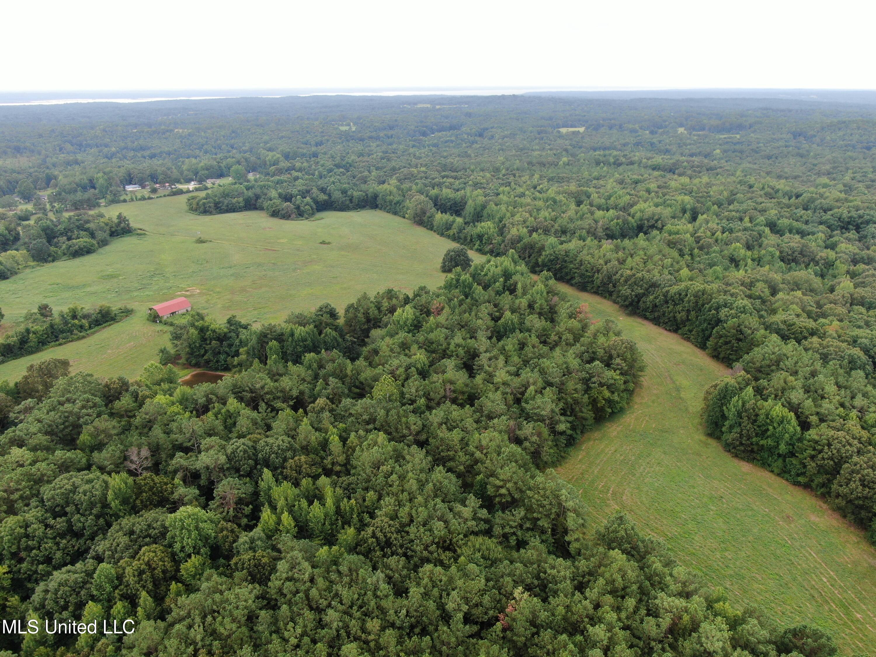 1700 Thomas Road Holly Springs, MS 38635 - Photo 3 of 23 DJI_0971
