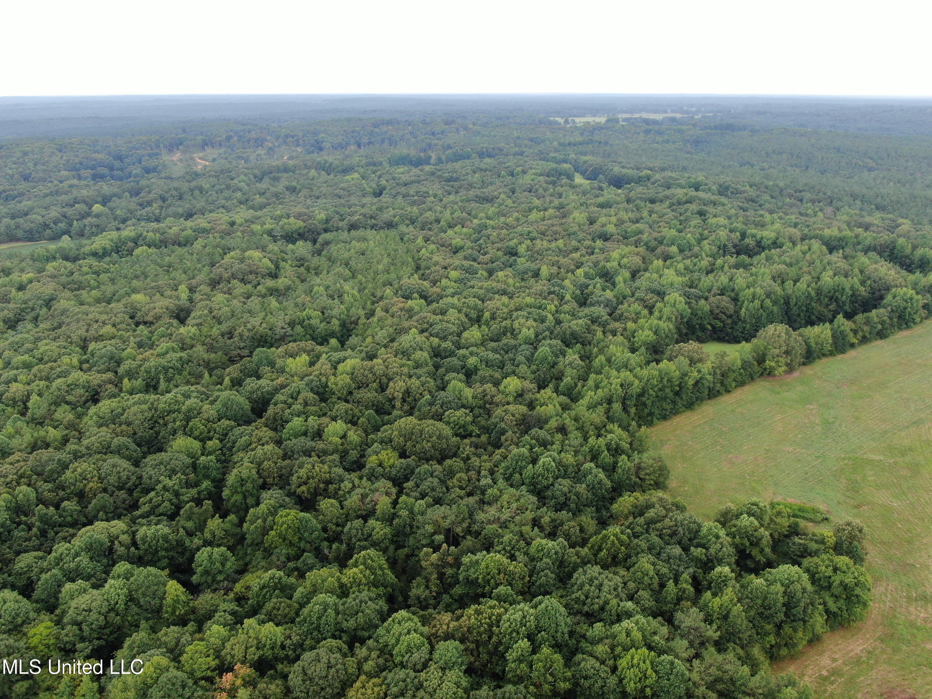 1700 Thomas Road Holly Springs, MS 38635 - Photo 6 of 23 DJI_0977