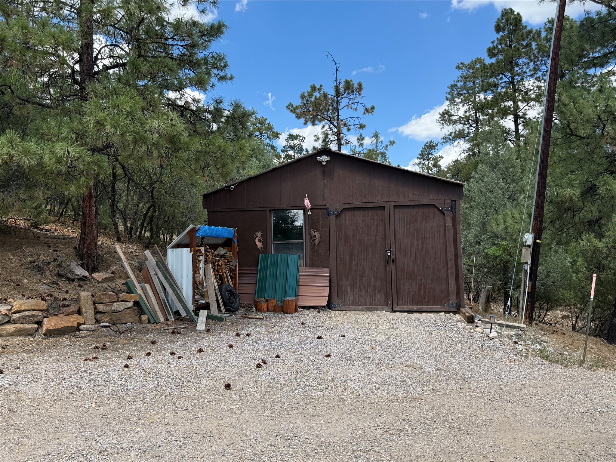 27 Rim Drive Los Ojos, NM 87551 - Photo 29 of 42